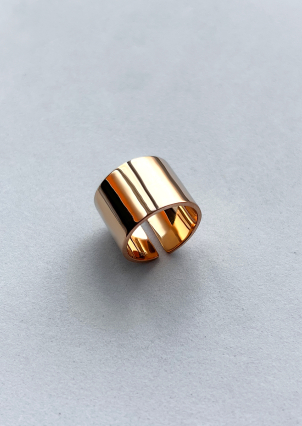 Ring without inserts Silver 925° (gold-plated) S0001PR