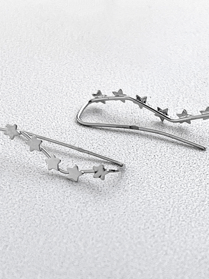 Earrings without inserts Silver 925° (rhodium) c2/1217
