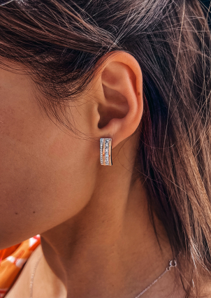 Сережки фіаніт Срібло 925° золото 375° 000219