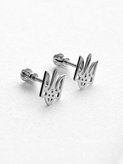 Сережки без вставок Срібло 925° (родій) 025910