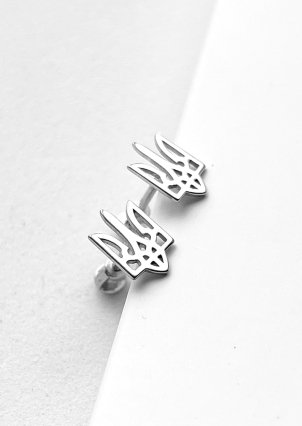 Сережки без вставок Срібло 925° (родій) 025910