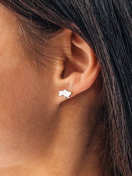 Earrings without inserts Silver 925° (rhodium) 126710